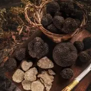 Truffles and mushrooms Truffles and mushrooms